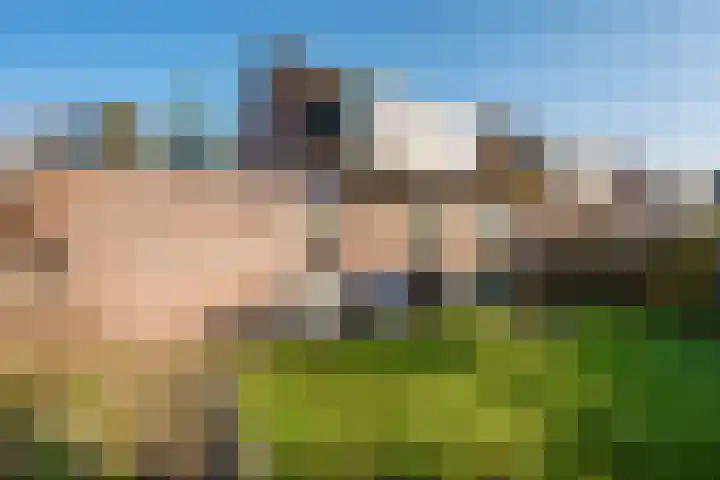 Hofstede 15 Berlicum thumbnail 43