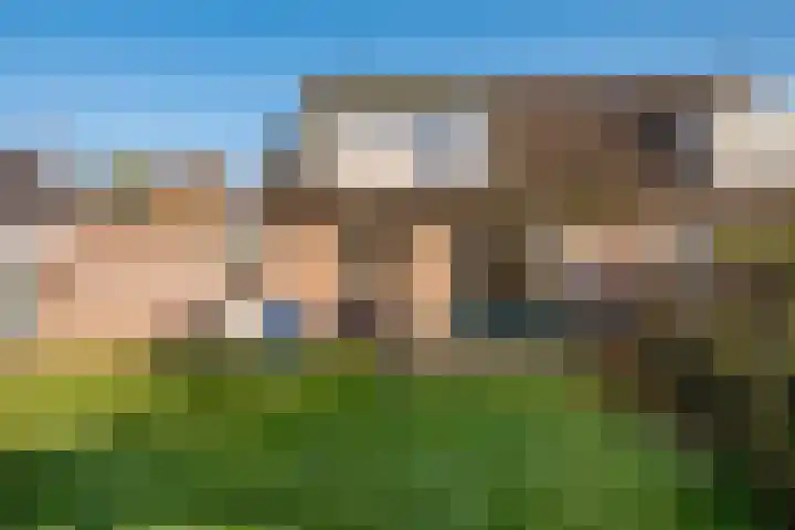 Hofstede 15 Berlicum thumbnail 44