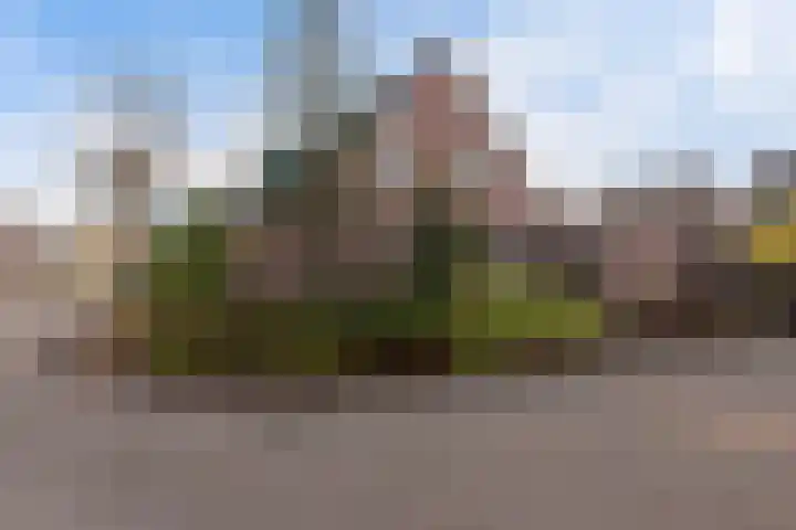Hofstede 15 Berlicum thumbnail 50