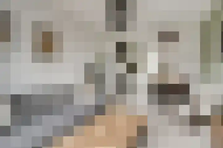 Hofstede 15 Hoogblokland thumbnail 11