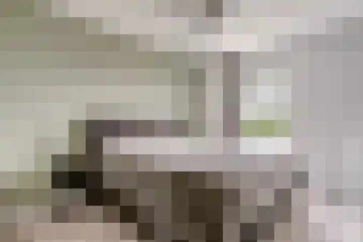 Hofstede 15 Hoogblokland thumbnail 13