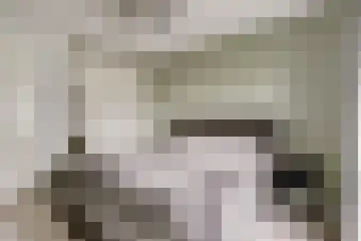 Hofstede 15 Hoogblokland thumbnail 14
