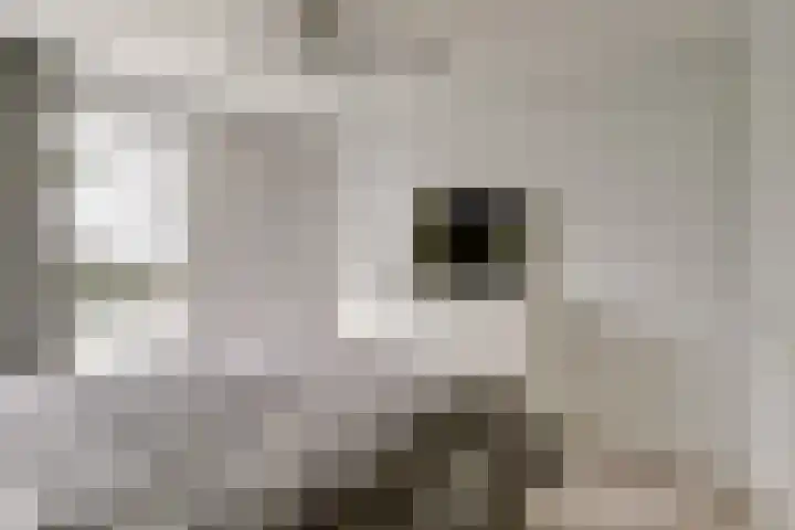 Hofstede 15 Hoogblokland thumbnail 15