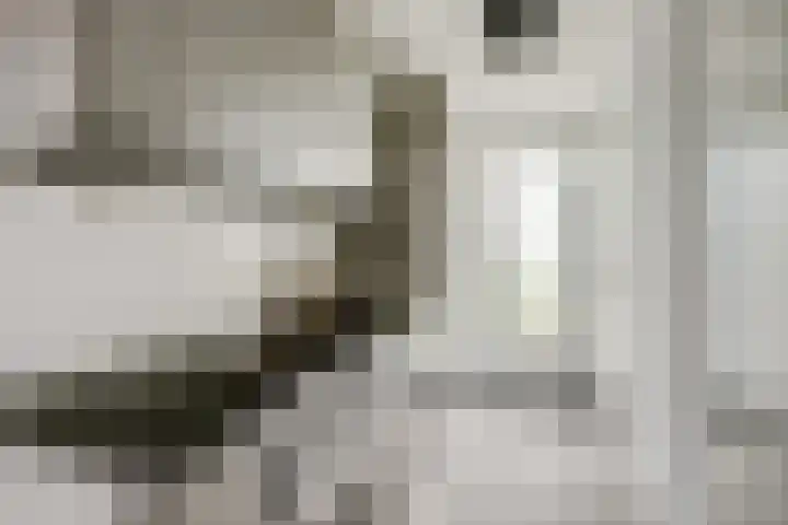 Hofstede 15 Hoogblokland thumbnail 17