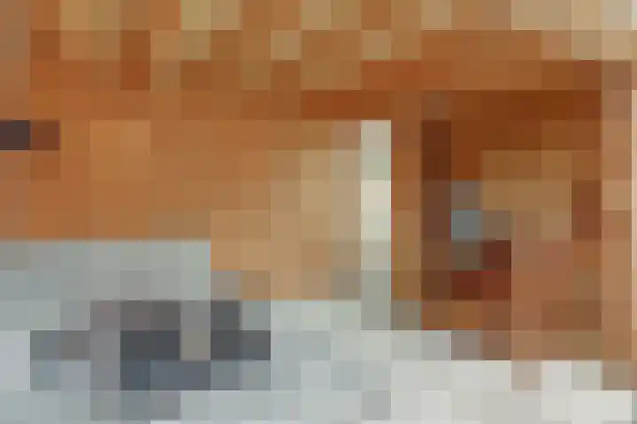 Hofstede 15 Hoogblokland thumbnail 26