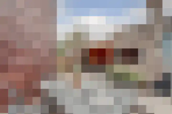 Hofstede 15 Hoogblokland thumbnail 29