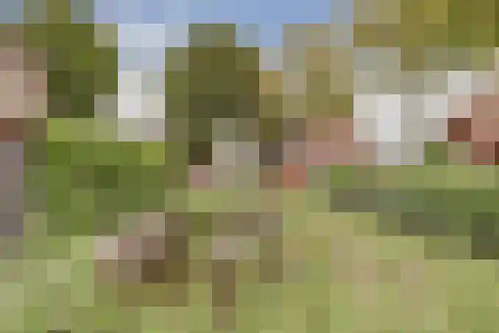 Hofstede 15 Hoogblokland thumbnail 32