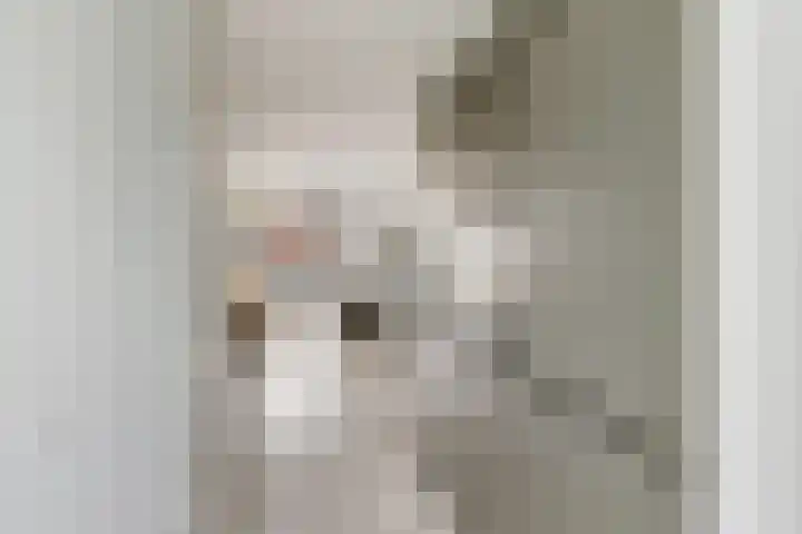 Hofstede 15 Hoogblokland thumbnail 4