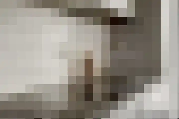 Hofstede 15 Hoogblokland thumbnail 8
