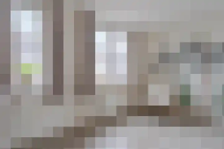Hofstede 18 Hazerswoude-Dorp thumbnail 10