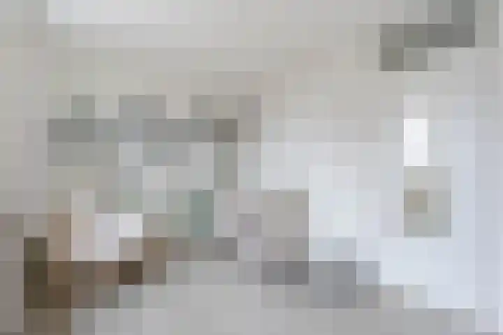 Hofstede 18 Hazerswoude-Dorp thumbnail 11
