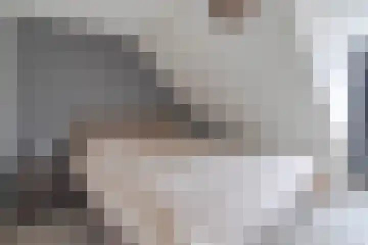 Hofstede 18 Hazerswoude-Dorp thumbnail 14