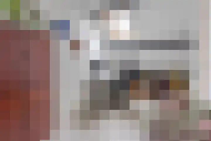Hofstede 18 Hazerswoude-Dorp thumbnail 18