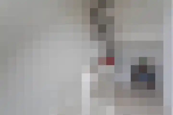 Hofstede 18 Hazerswoude-Dorp thumbnail 19