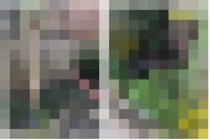 Hofstede 18 Hazerswoude-Dorp thumbnail 20