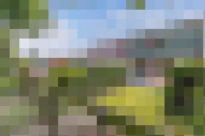 Hofstede 180 Lelystad thumbnail 16