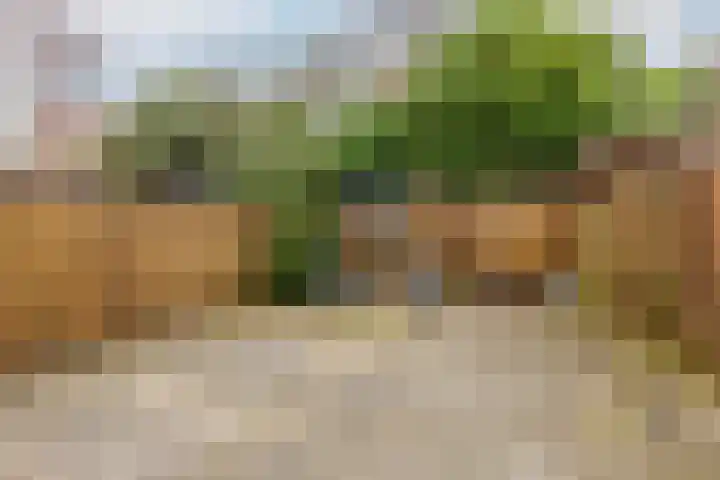 Hofstede 186 Lelystad thumbnail 26