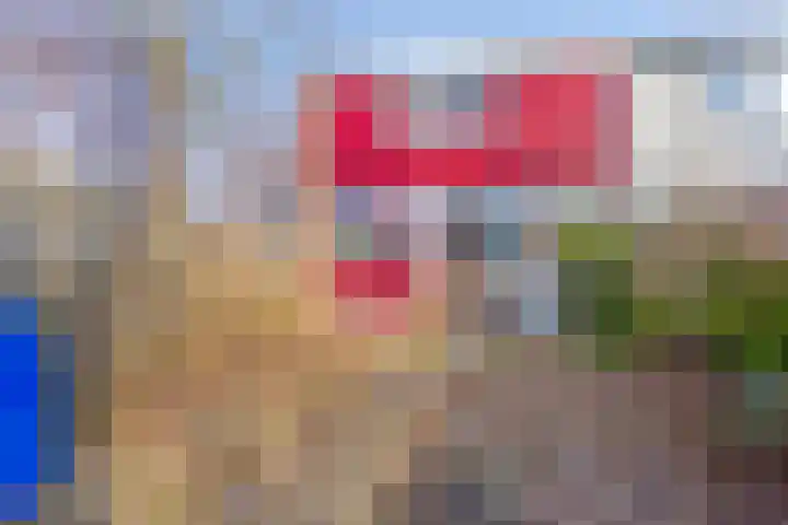 Hofstede 213 Lelystad thumbnail 20