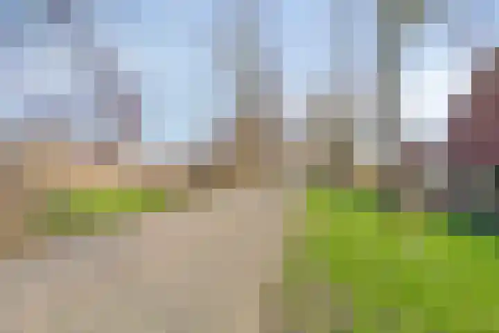 Hofstede 213 Lelystad thumbnail 22