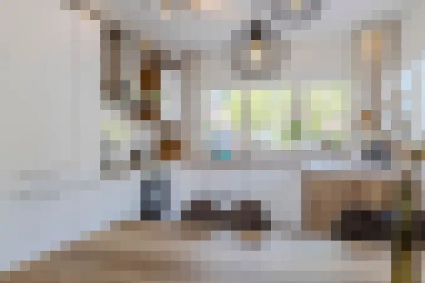 Hofstede 24 Bodegraven thumbnail 15
