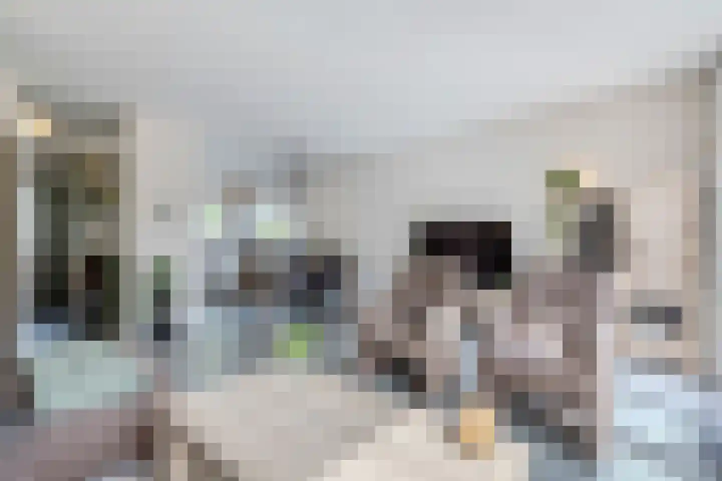 Hofstede 24 Bodegraven thumbnail 21