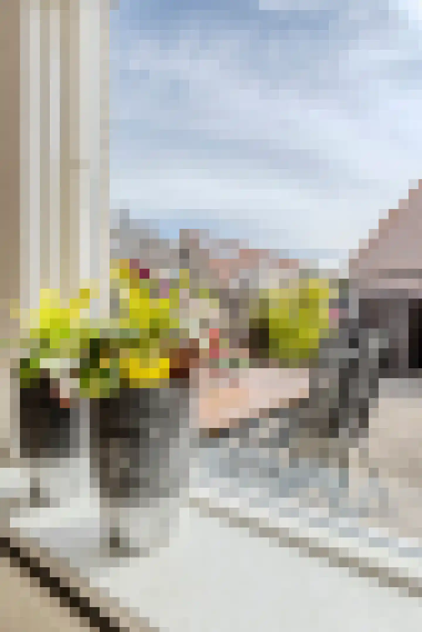 Hofstede 24 Bodegraven thumbnail 25