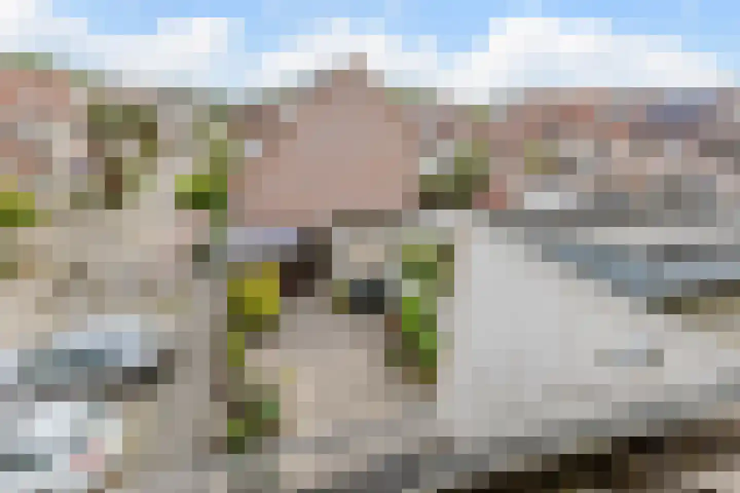 Hofstede 24 Bodegraven thumbnail 48