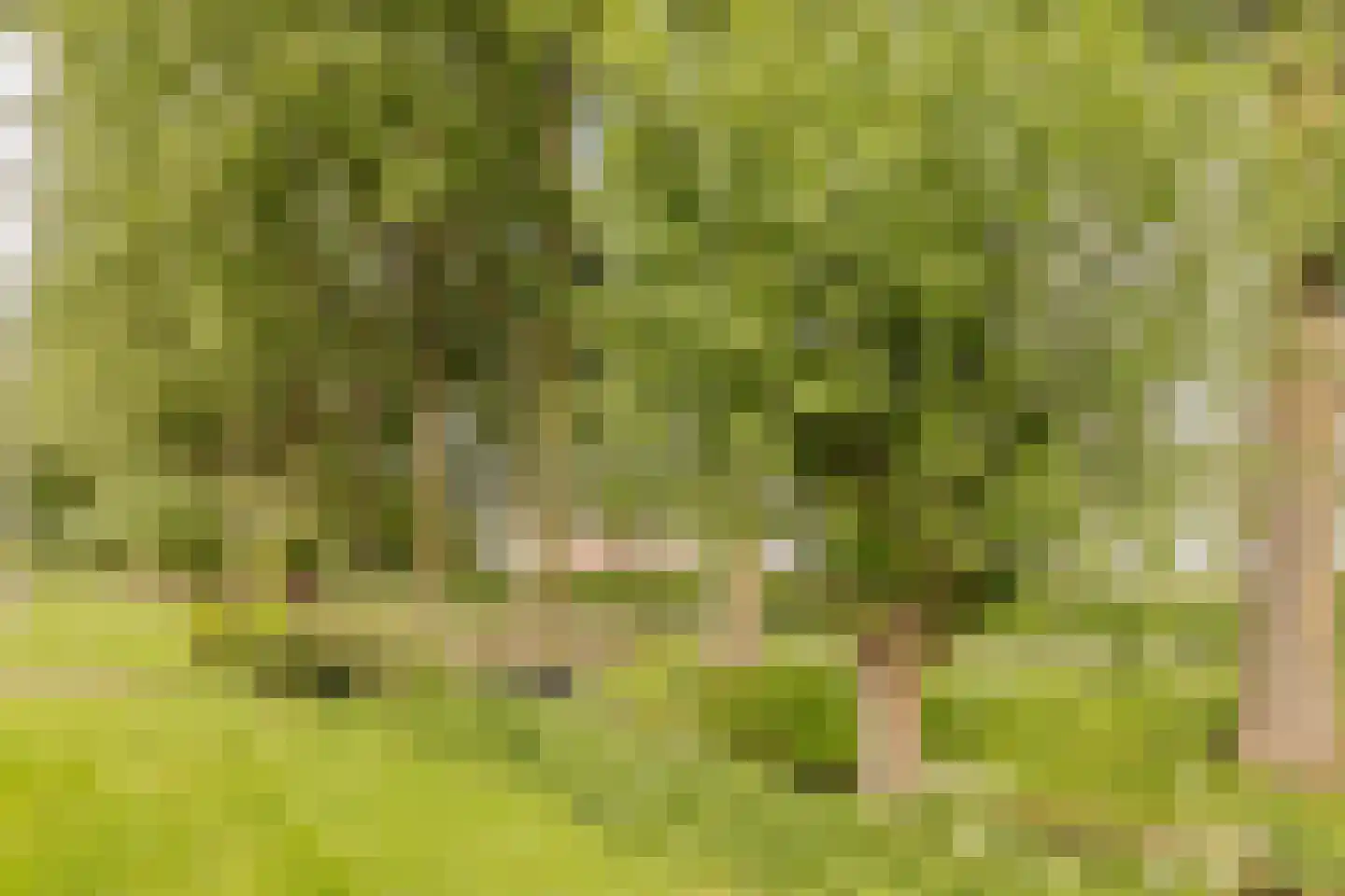 Hofstede 24 Bodegraven thumbnail 56