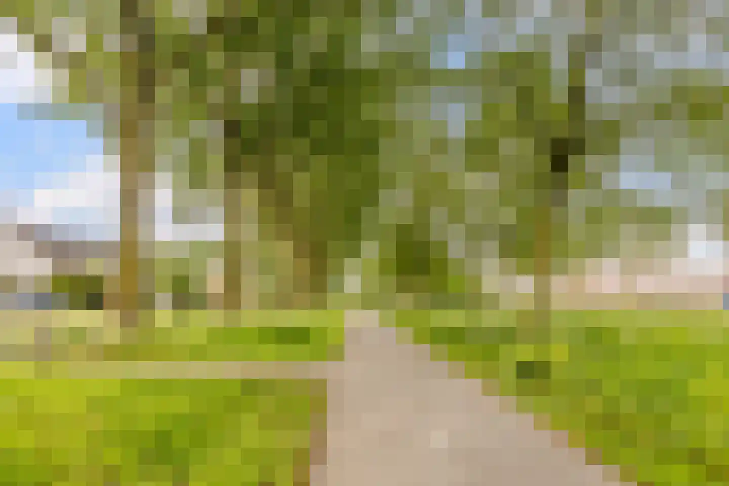 Hofstede 24 Bodegraven thumbnail 57