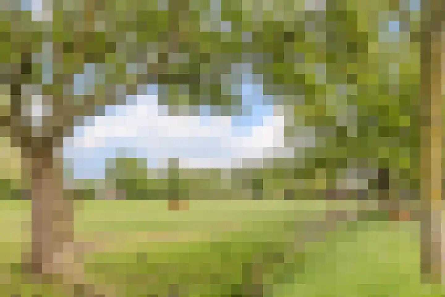 Hofstede 24 Bodegraven thumbnail 58
