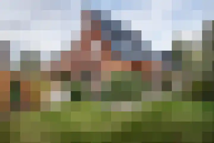 Hofstede 29 Zwaanshoek