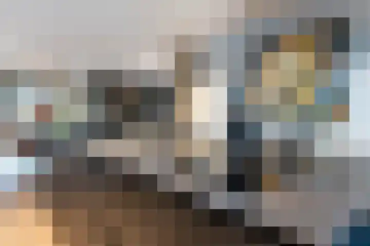 Hofstede 29 Zwaanshoek thumbnail 10