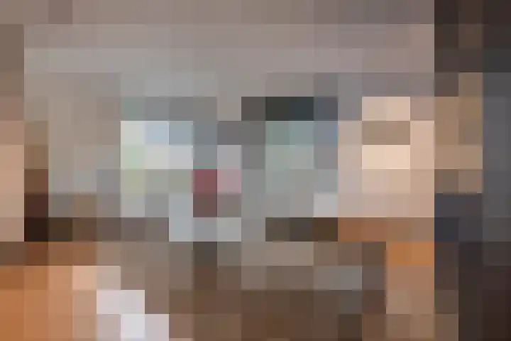 Hofstede 29 Zwaanshoek thumbnail 15