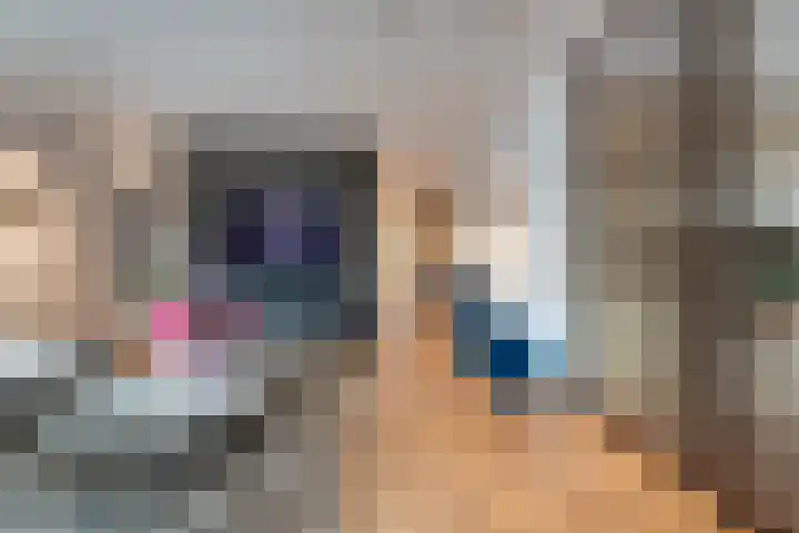 Hofstede 29 Zwaanshoek thumbnail 17