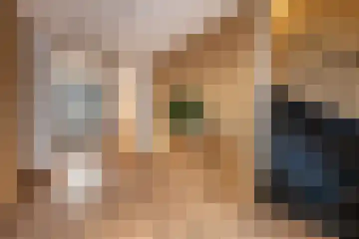 Hofstede 29 Zwaanshoek thumbnail 20
