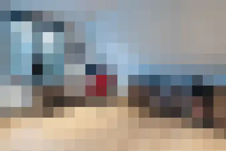 Hofstede 29 Zwaanshoek thumbnail 27