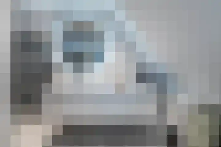 Hofstede 29 Zwaanshoek thumbnail 30