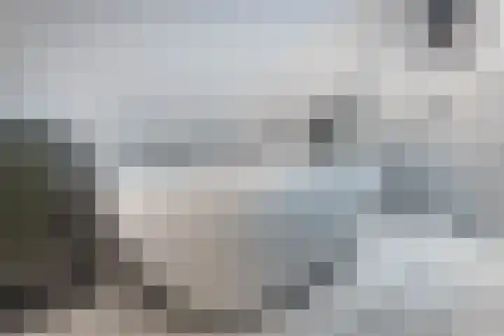 Hofstede 29 Zwaanshoek thumbnail 31
