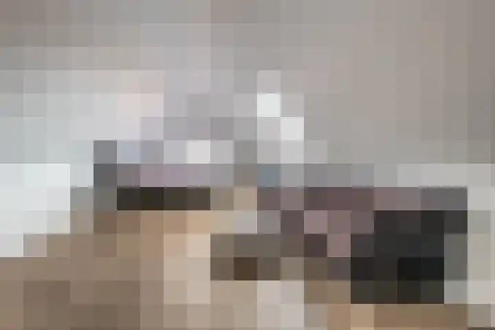 Hofstede 29 Zwaanshoek thumbnail 33