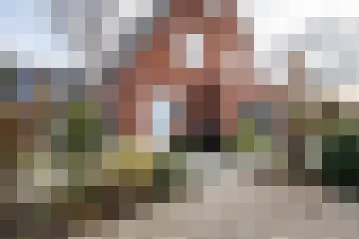 Hofstede 29 Zwaanshoek thumbnail 38