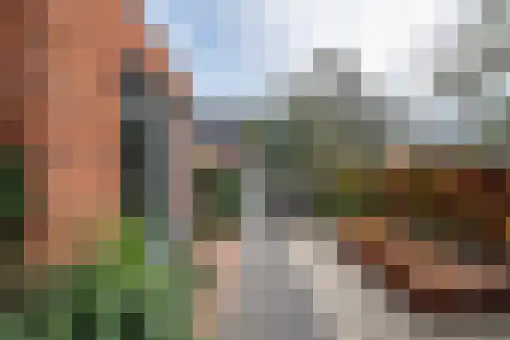 Hofstede 29 Zwaanshoek thumbnail 39