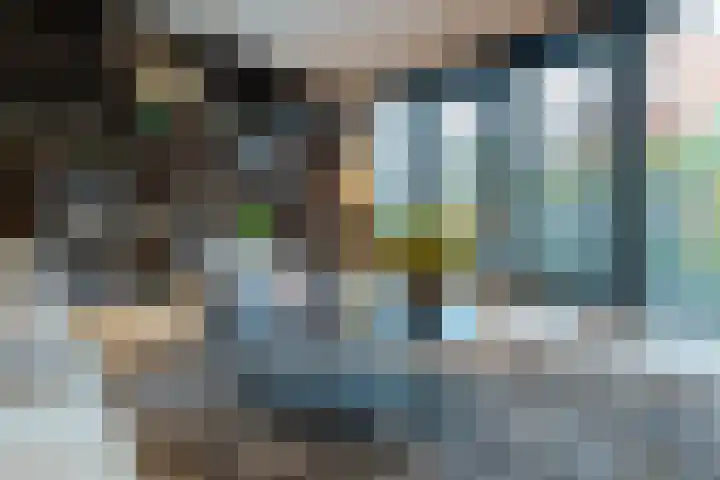 Hofstede 29 Zwaanshoek thumbnail 4