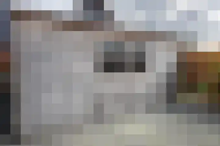 Hofstede 29 Zwaanshoek thumbnail 41