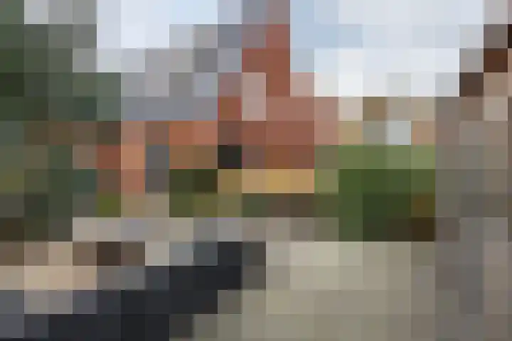 Hofstede 29 Zwaanshoek thumbnail 42