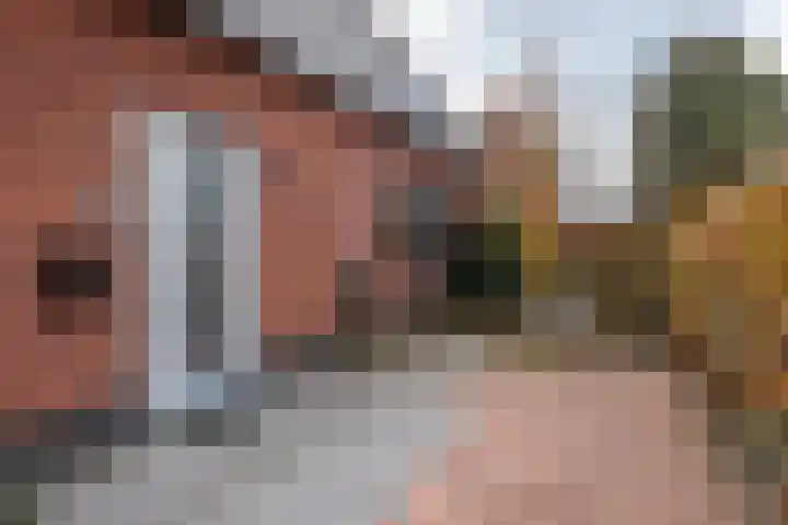 Hofstede 29 Zwaanshoek thumbnail 45