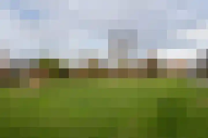 Hofstede 29 Zwaanshoek thumbnail 48