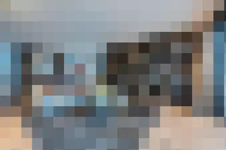 Hofstede 29 Zwaanshoek thumbnail 5