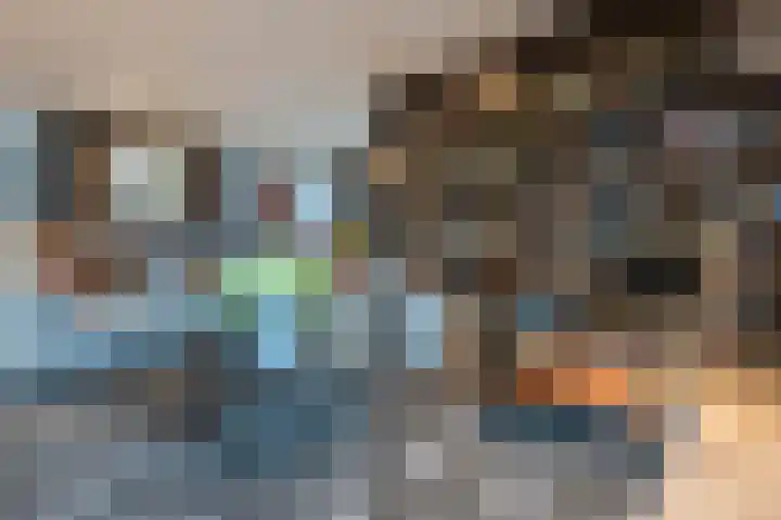 Hofstede 29 Zwaanshoek thumbnail 7