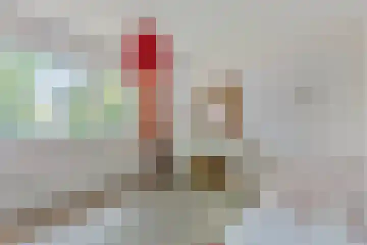 Hofstede 3 Schaijk thumbnail 16