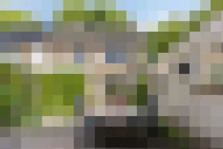 Hofstede 3 Schaijk thumbnail 24
